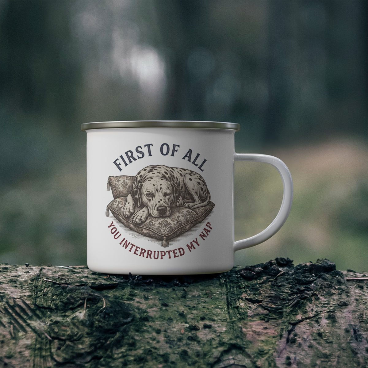 First of All You Interrupted My Nap - Enamel Mug 12oz