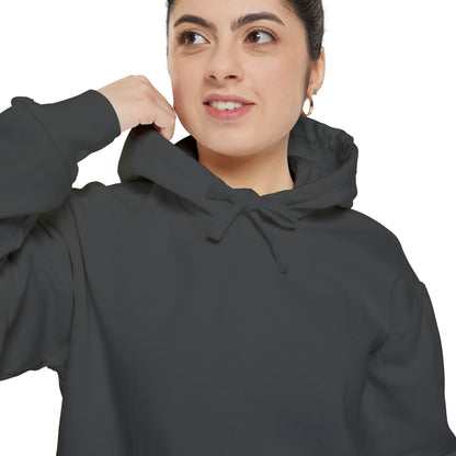 Bookworm Spots - Comfort Colors 1567 Hoodie