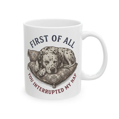 First Of All You Interrupted My Nap -  Ceramic Mug 11oz