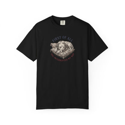 First Of All You Interrupted My Nap  - Comfort Color 1717 T-Shirt