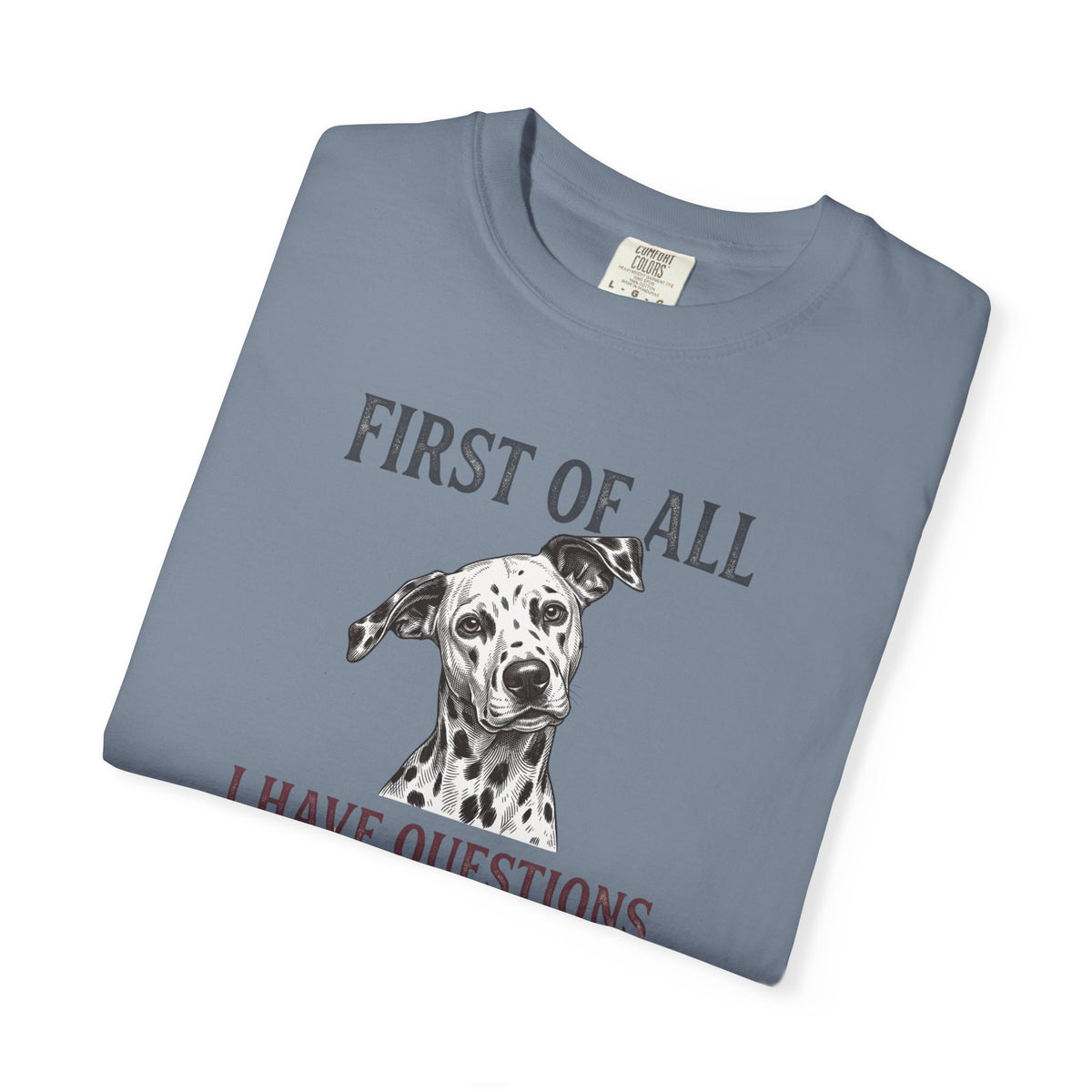 First Of All I Have Questions - Comfort Color 1717 T-Shirt