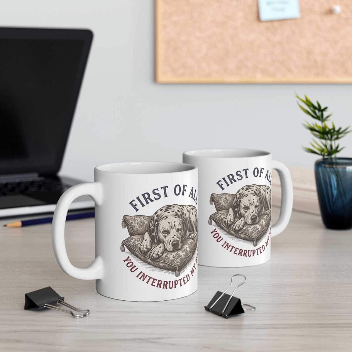 First Of All You Interrupted My Nap -  Ceramic Mug 11oz