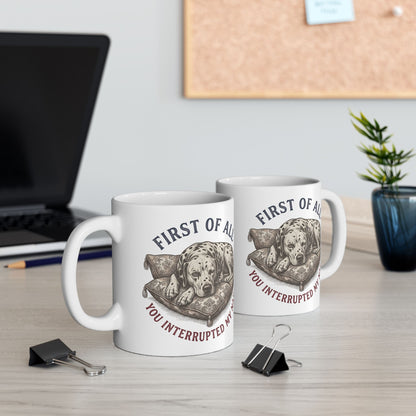 First Of All You Interrupted My Nap -  Ceramic Mug 11oz