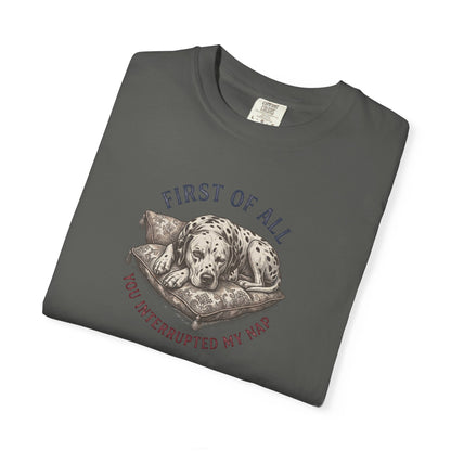 First Of All You Interrupted My Nap  - Comfort Color 1717 T-Shirt