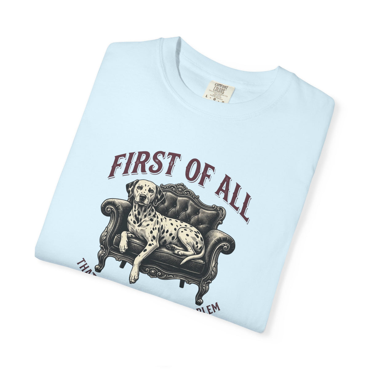 First of All That Sounds Like A You Problem - Comfort Color 1717 T-Shirt