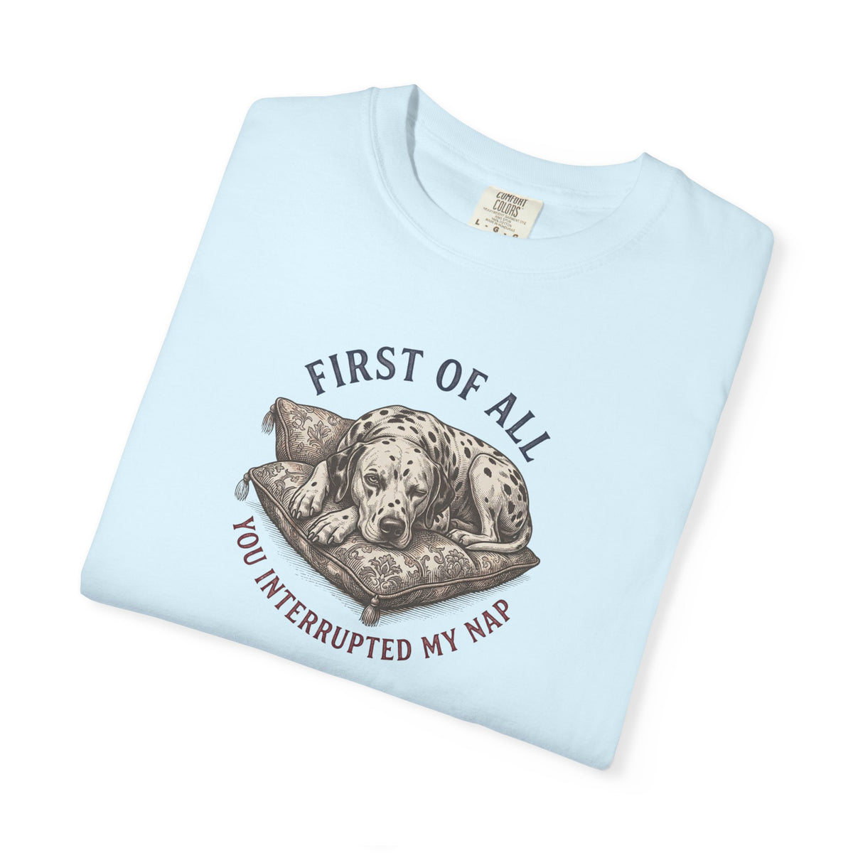 First Of All You Interrupted My Nap  - Comfort Color 1717 T-Shirt
