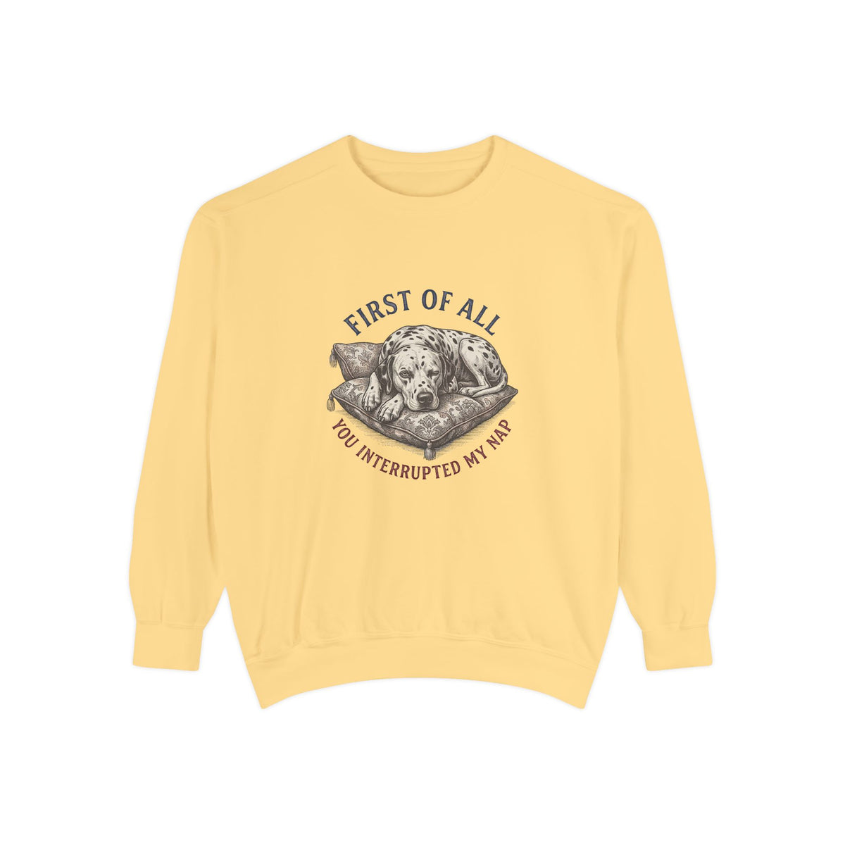 First of All You Interrupted My Nap - Comfort Colors 1566 Crewneck Sweatshirt