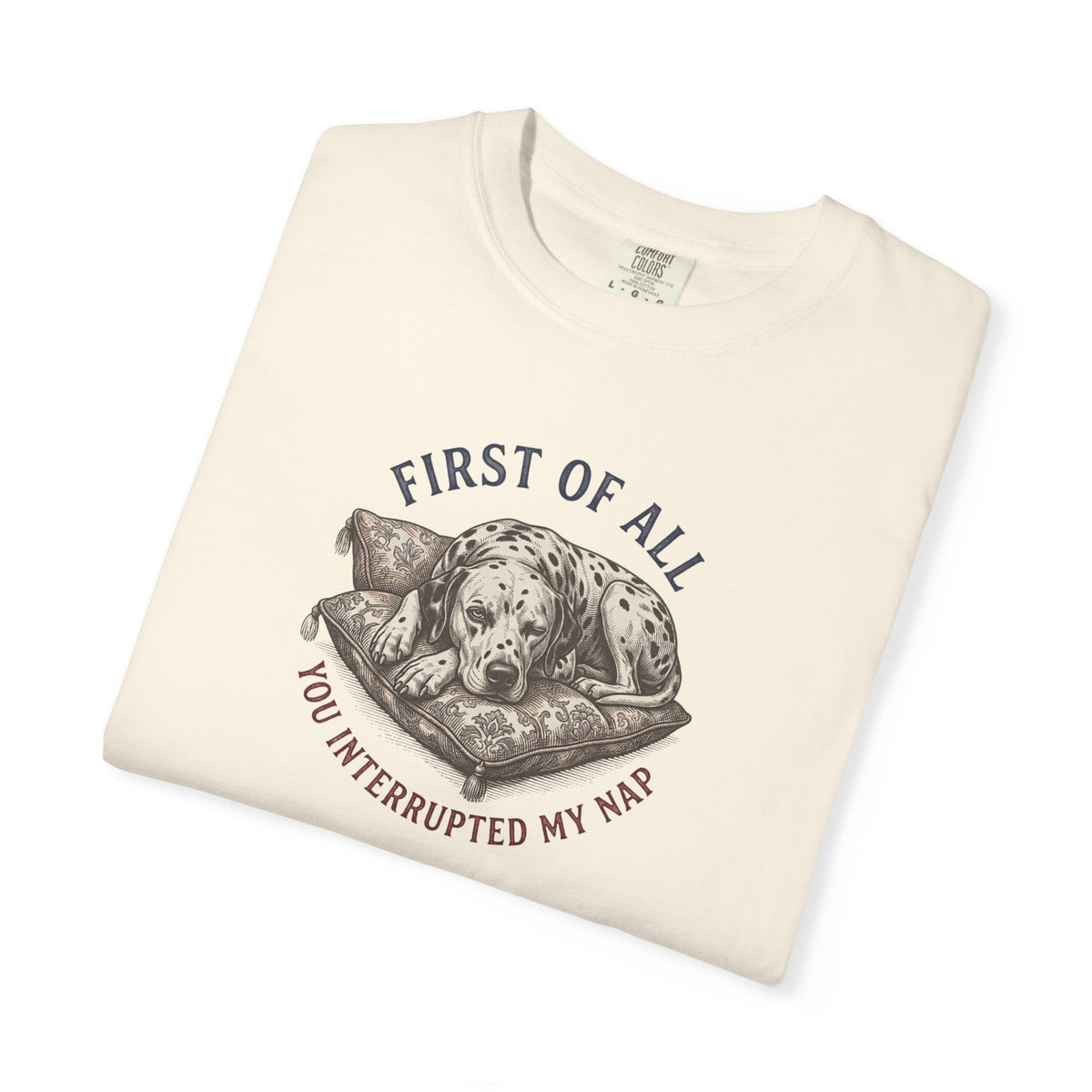First Of All You Interrupted My Nap  - Comfort Color 1717 T-Shirt