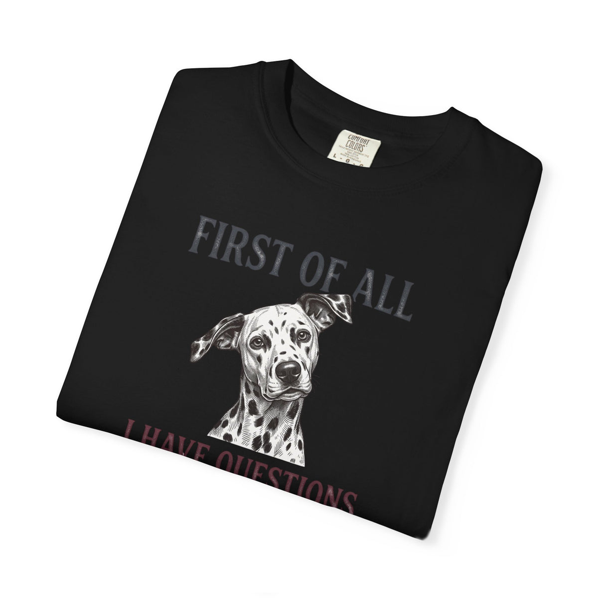 First Of All I Have Questions - Comfort Color 1717 T-Shirt