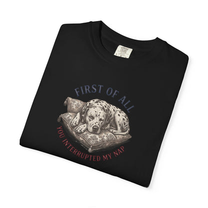 First Of All You Interrupted My Nap  - Comfort Color 1717 T-Shirt