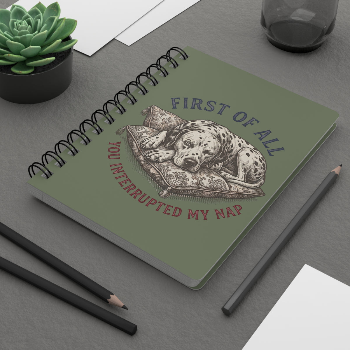 First Of All You Interrupted My Nap - Spiral Journal - Moos