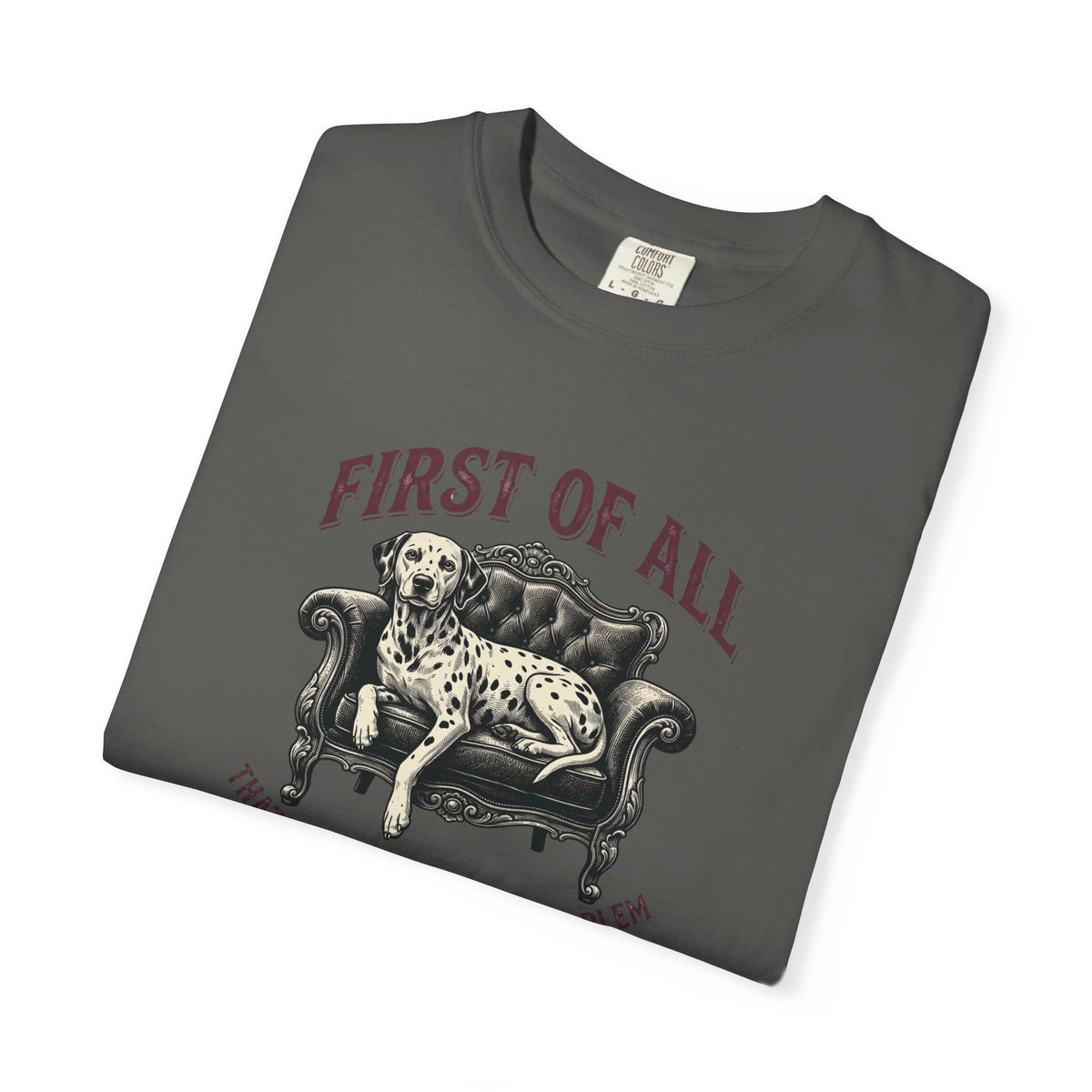 First of All That Sounds Like A You Problem - Comfort Color 1717 T-Shirt