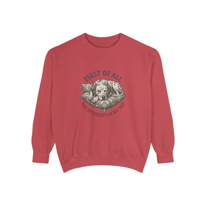First of All You Interrupted My Nap - Comfort Colors 1566 Crewneck Sweatshirt