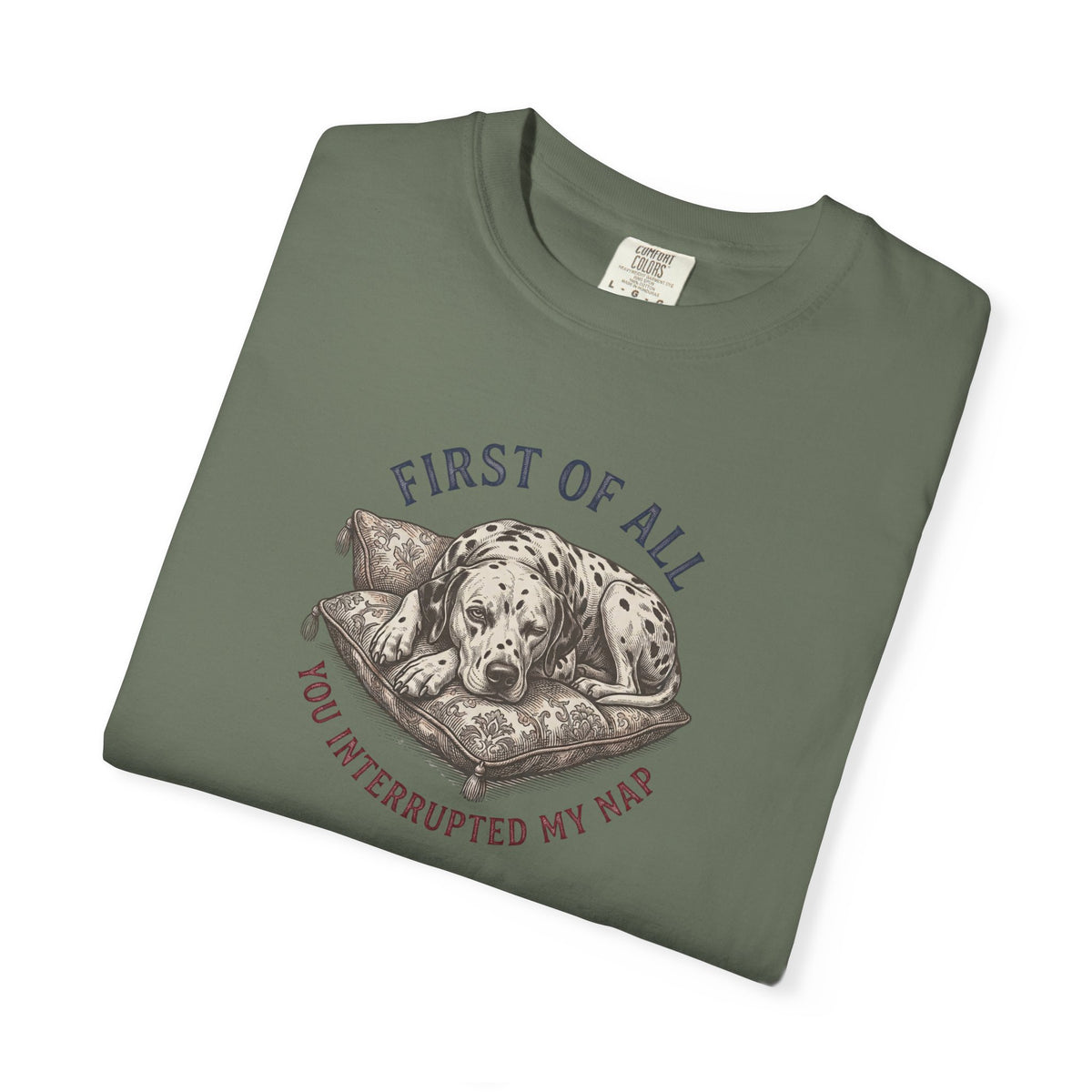 First Of All You Interrupted My Nap  - Comfort Color 1717 T-Shirt