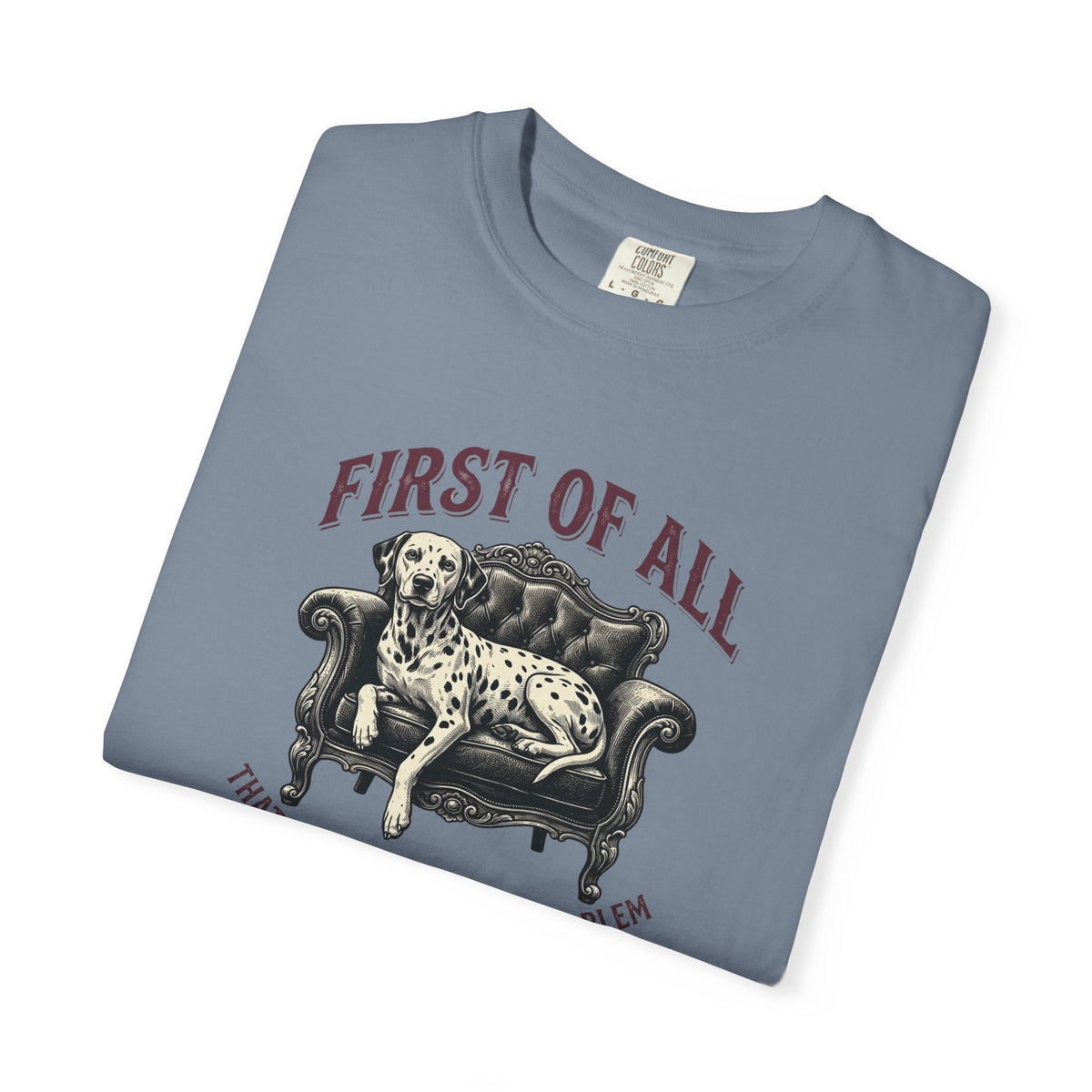 First of All That Sounds Like A You Problem - Comfort Color 1717 T-Shirt