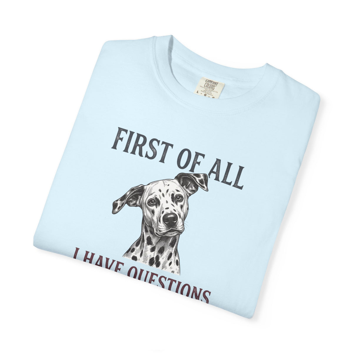First Of All I Have Questions - Comfort Color 1717 T-Shirt