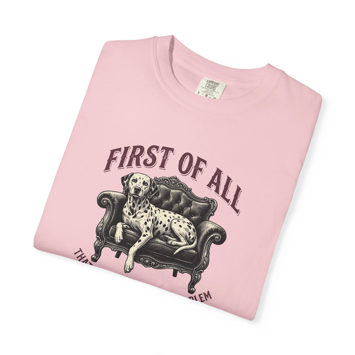 First of All That Sounds Like A You Problem - Comfort Color 1717 T-Shirt