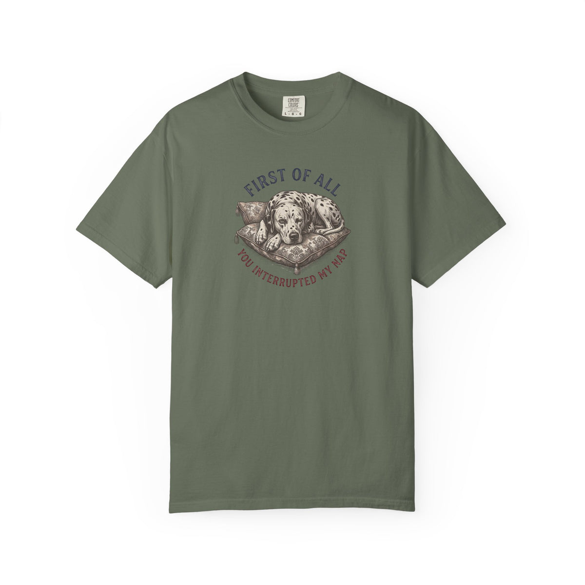 First Of All You Interrupted My Nap  - Comfort Color 1717 T-Shirt