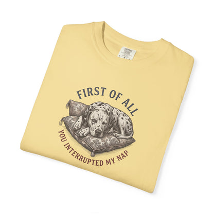 First Of All You Interrupted My Nap  - Comfort Color 1717 T-Shirt