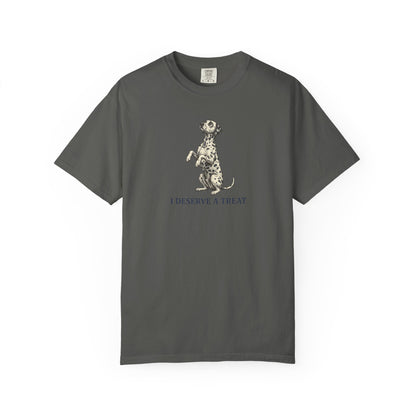 I Deserve A Treat - Comfort Color 1717 T-Shirt