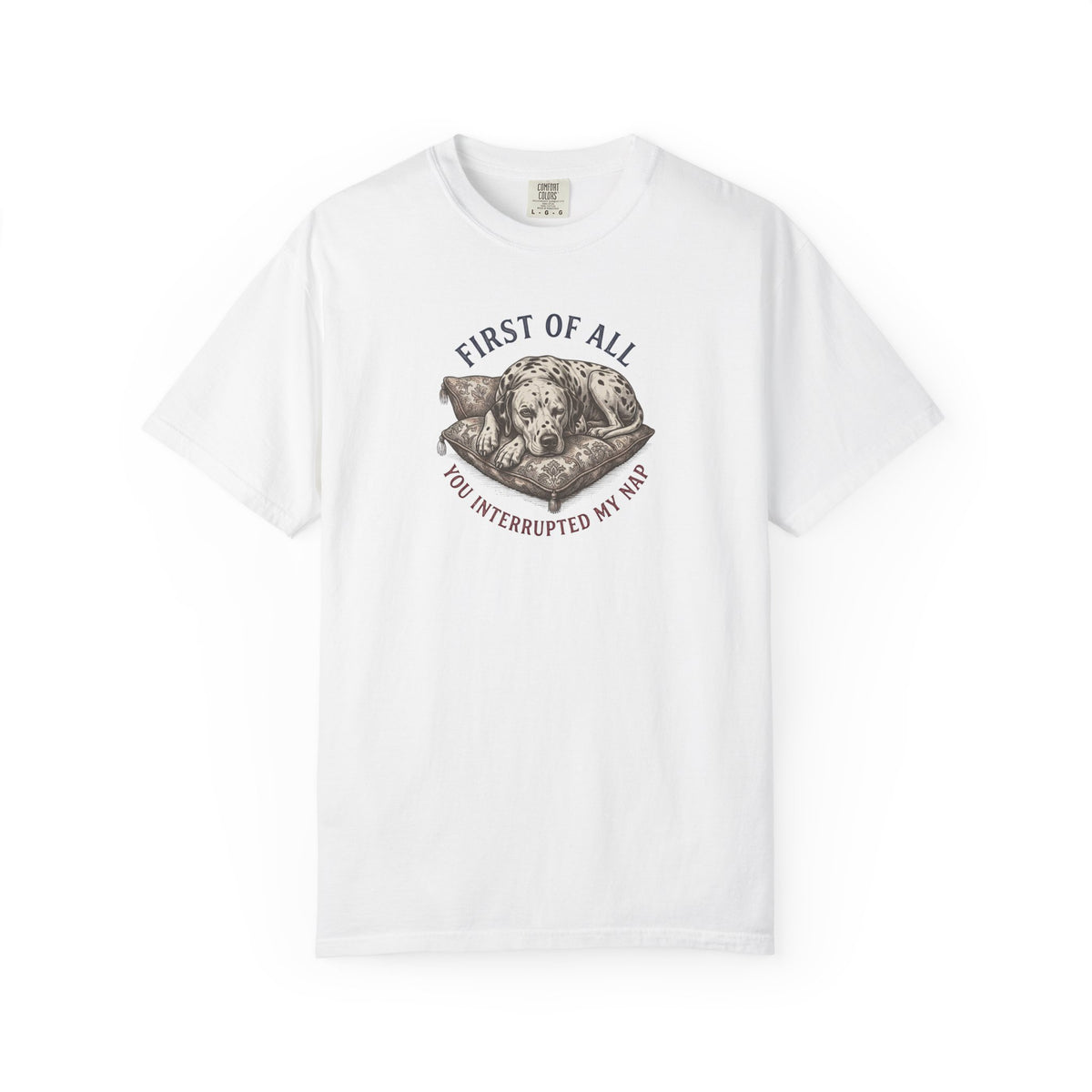 First Of All You Interrupted My Nap  - Comfort Color 1717 T-Shirt