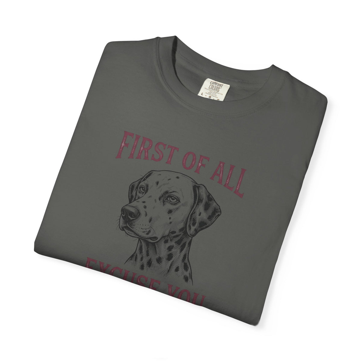 First of All Excuse You - Comfort Color 1717 T-Shirt