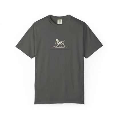 Off To Annoy My Brother- Comfort Color 1717 T-Shirt