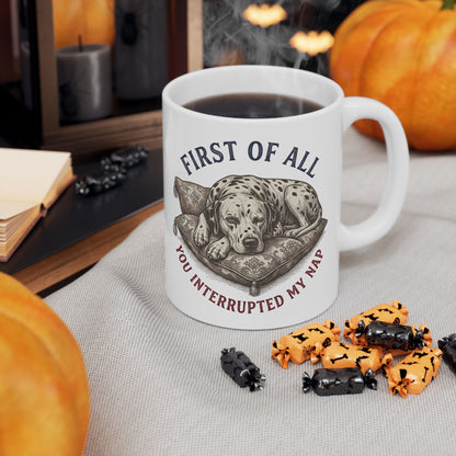 First Of All You Interrupted My Nap -  Ceramic Mug 11oz