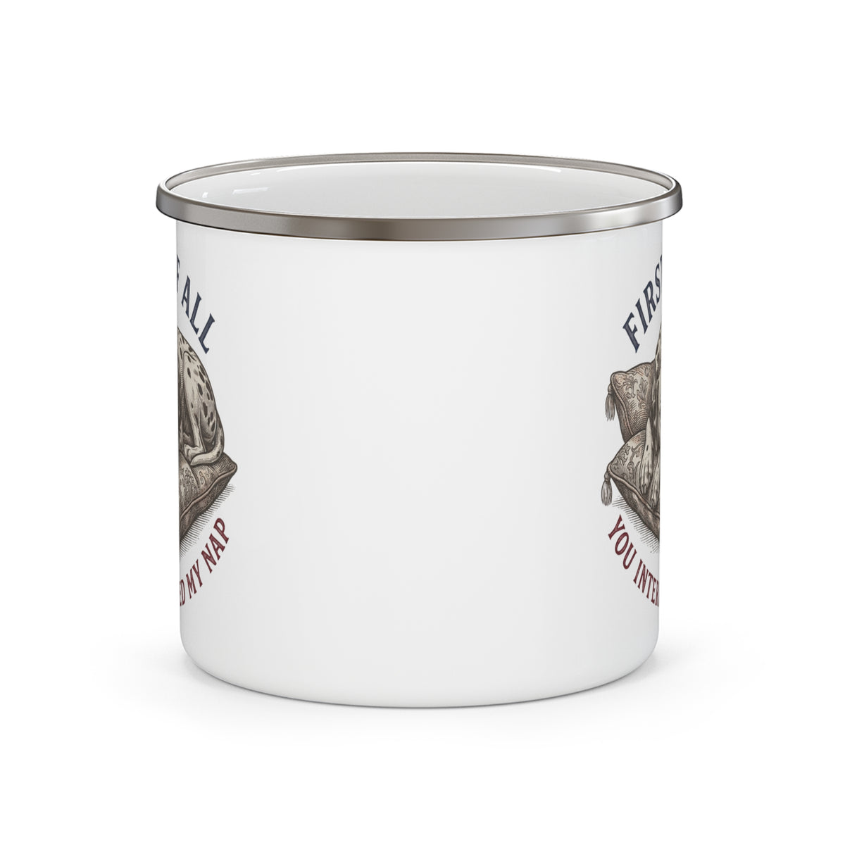 First of All You Interrupted My Nap - Enamel Mug 12oz