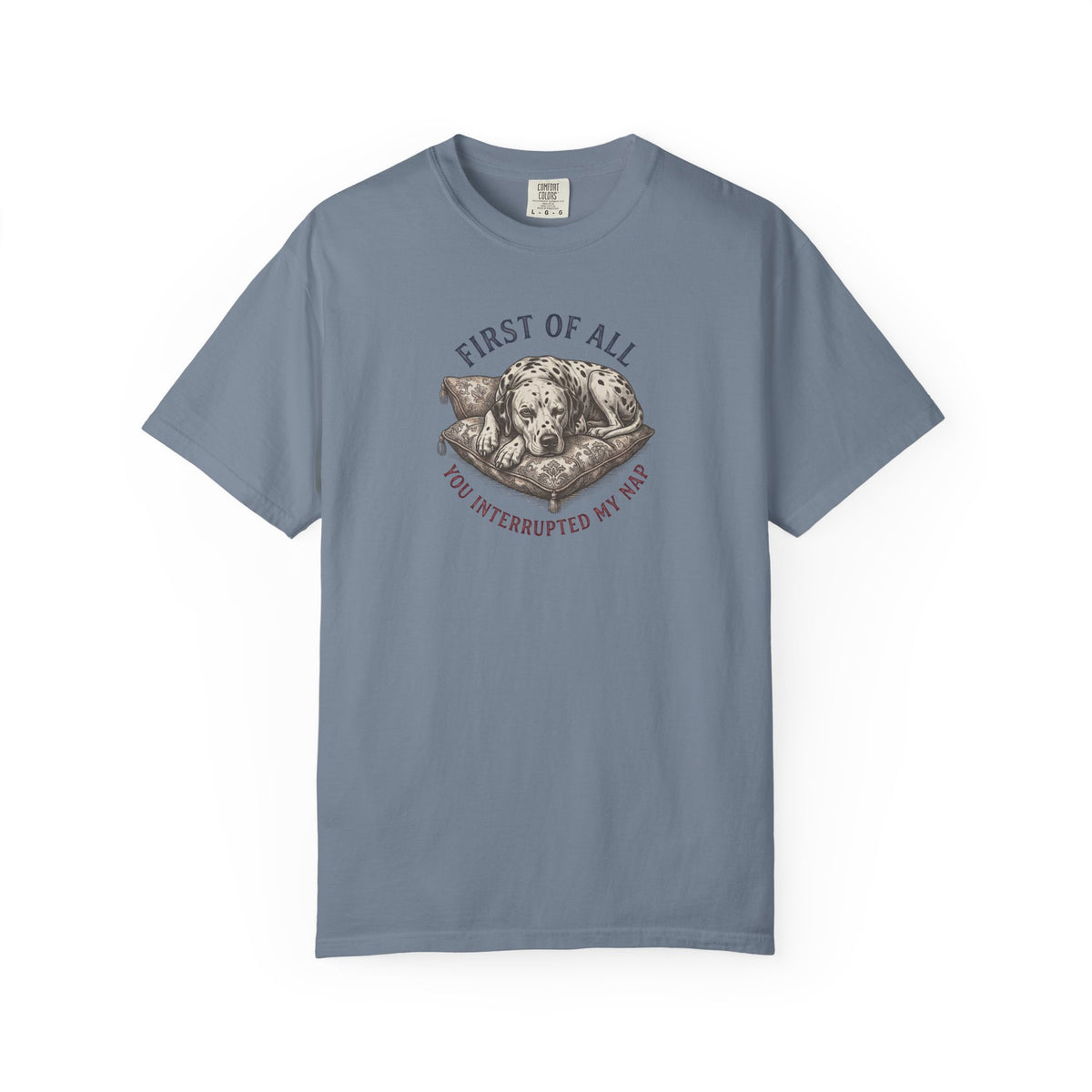 First Of All You Interrupted My Nap  - Comfort Color 1717 T-Shirt