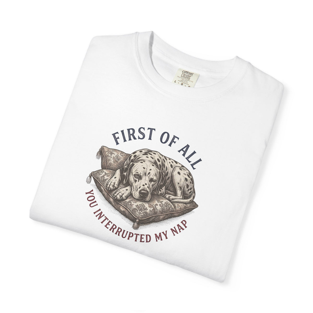 First Of All You Interrupted My Nap  - Comfort Color 1717 T-Shirt