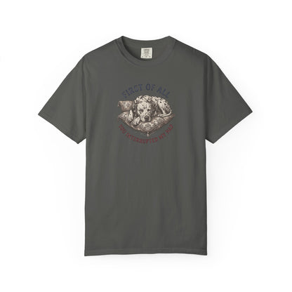 First Of All You Interrupted My Nap  - Comfort Color 1717 T-Shirt