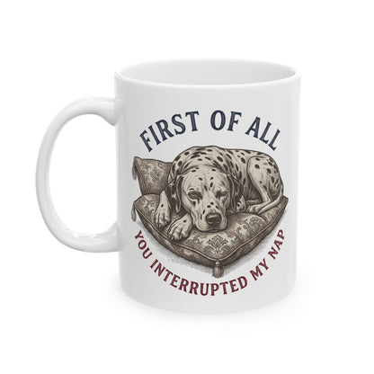 First Of All You Interrupted My Nap -  Ceramic Mug 11oz