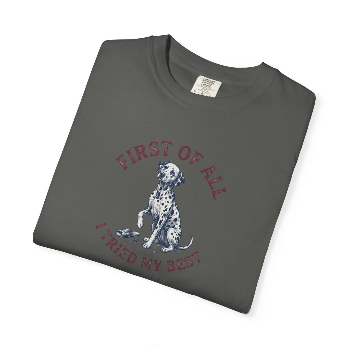 First Of All I Tried My Best - Comfort Color 1717 T-Shirt